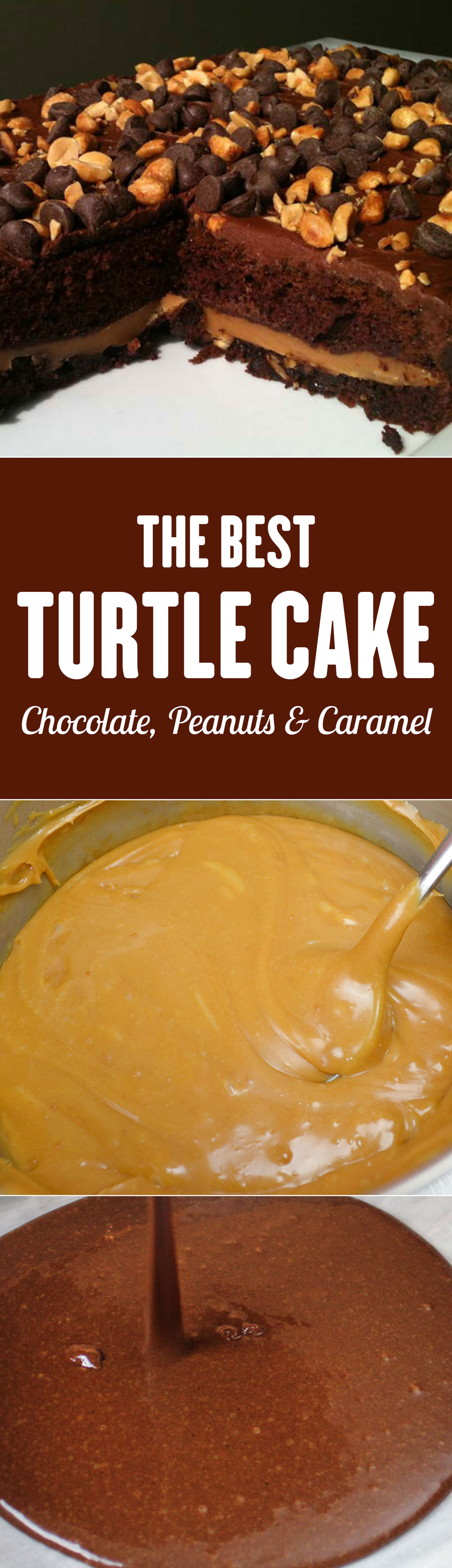 turtle-cake-recipe-peanuts-chocolate-caramel-02